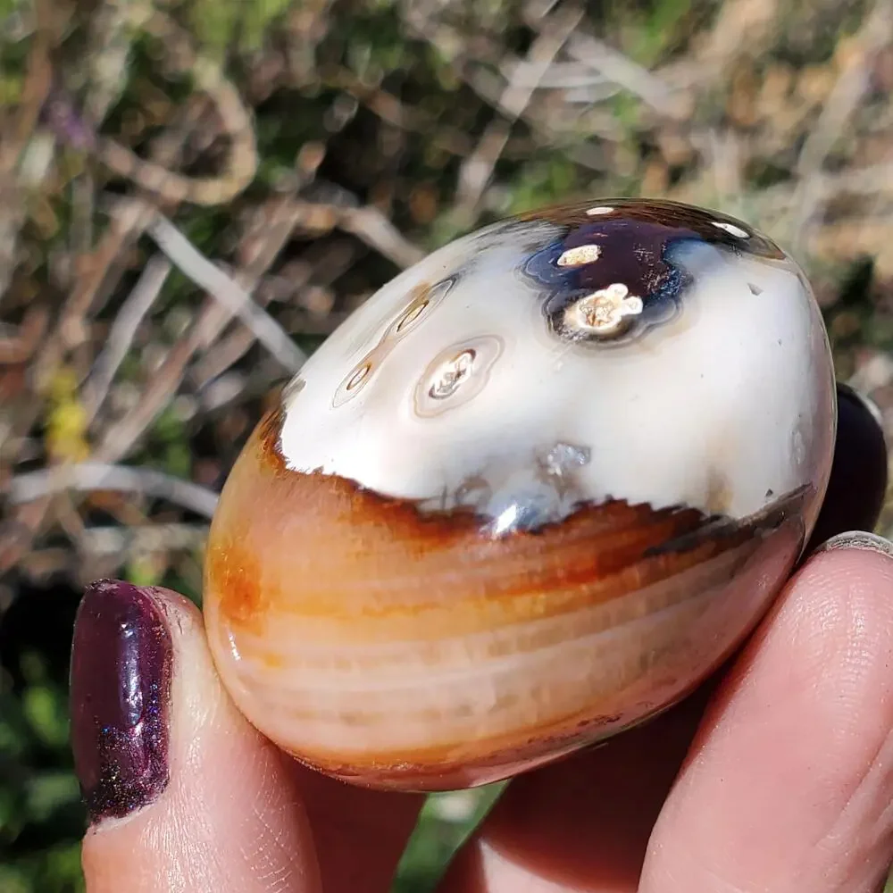 Eyes on Back Orca Agate Carnelian Stone Crystal UNIQUE Palmstone 180 grams